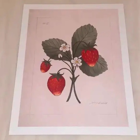 Jilly Box Summer 2022 Wild Strawberry Print - Picture 3 of 3